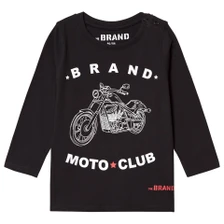 Sample:  Suscipit quam et turpis malesuada