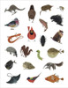 Charley Harper Tree of Life Sticker Book