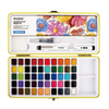 Watercolor Set of 50 with Brushes