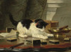 Artists Cats Boxed Notecards
