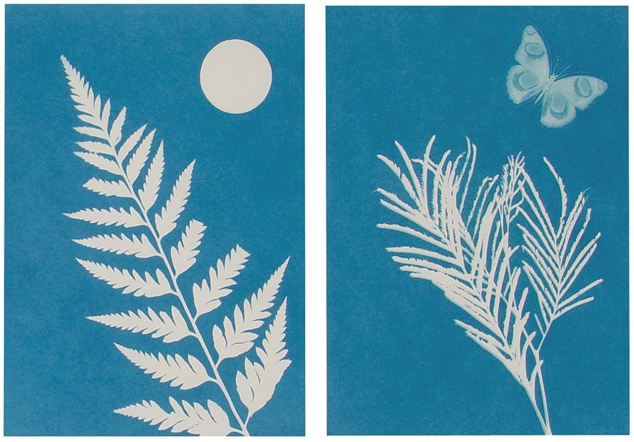 Solar Print Paper – The Naturalist's Notebook