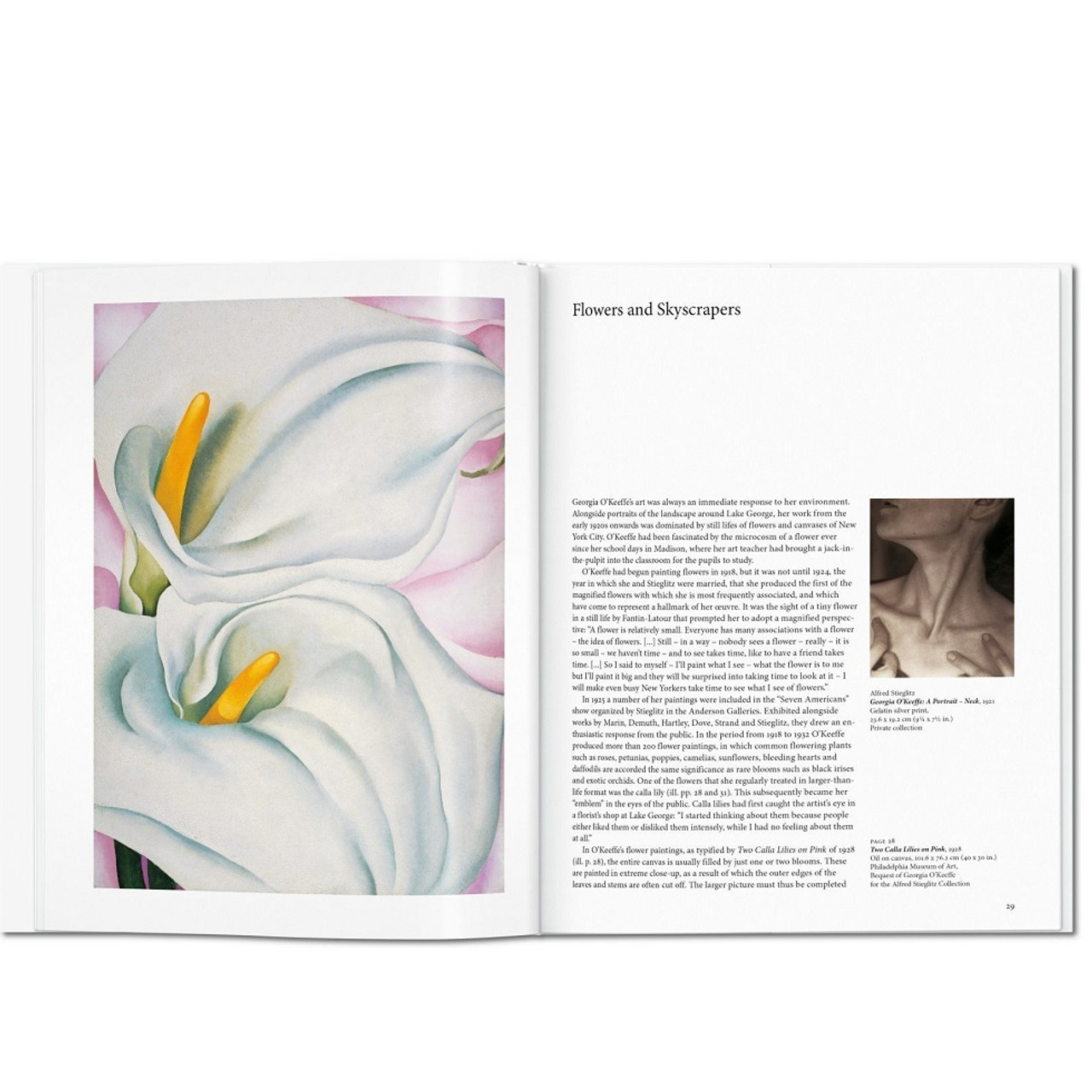 The Art & Life of Georgia O'Keeffe　　英文 O'Keeffe - Detroit Institute of Arts Museum Shop