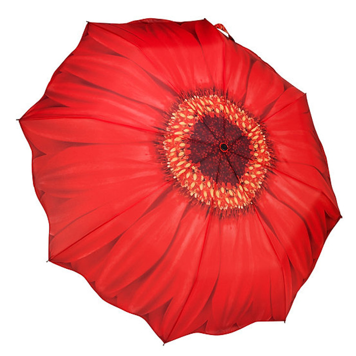 Red Daisy Umbrella