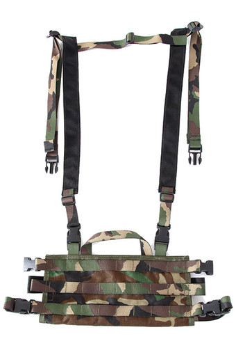 HSGI AO Chest Rig