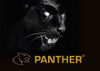 panther