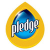 Pledge Pledge