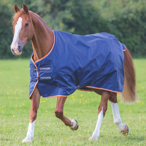 Shires Typhoon 100 Turnout Rug - Black Cherry
