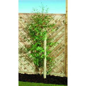 Gardman 1.8 x 40mm Pressure Treated Softwood Round Tree Stake FSC