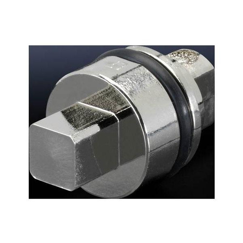 Rittal SZ 2571.000 Silver Safety Lock