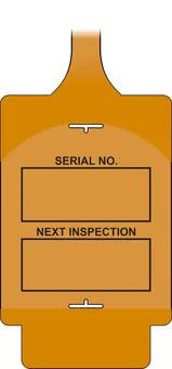 AssetTag Flex Next Inspection Tag, Orange - Style A (Pack of 50)