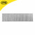 Vaunt 19mm 16g Straight Brad Nails - Pack of 2500