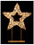 Christmas Decoration Star on Stand with 720 LED Lights