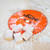 Vaunt 250mm x 30mm 80T TCT Circular Saw Blade