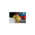 Scotch-Brite Radial Bristle Disc, 3x3/8 In., 80 Grit, Ceramic, Yellow, 80/Piece, Compatible with Angle Grinder
