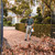 Stihl BGA160 Battery Blower