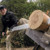 Product thumbnail view 4