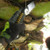 Product thumbnail view 4