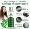 Anti-dandruff & Scalp Shampoo 250ml