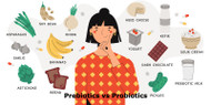 ​Differences Between Prebiotics and Probiotics