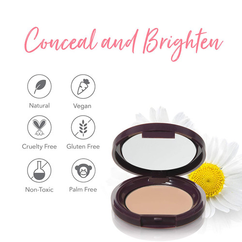 Fruit Pigmented® Long Last Concealer with Super Fruits Creme 3g