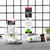 Natural Toothpaste Ultra White Jungle Fruit with Hydroxyapatite Value Pack