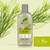 Tea Tree Shampoo 265ml