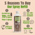 Natural Deodorant Spray Refill Oud & Bergamot 500ml
