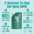 Natural Foot Deodorant Spray Refill Pouch Peppermint & Tea Tree 300ml