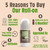 Natural Refillable Deodorant Roll-On Oud & Bergamot 75ml