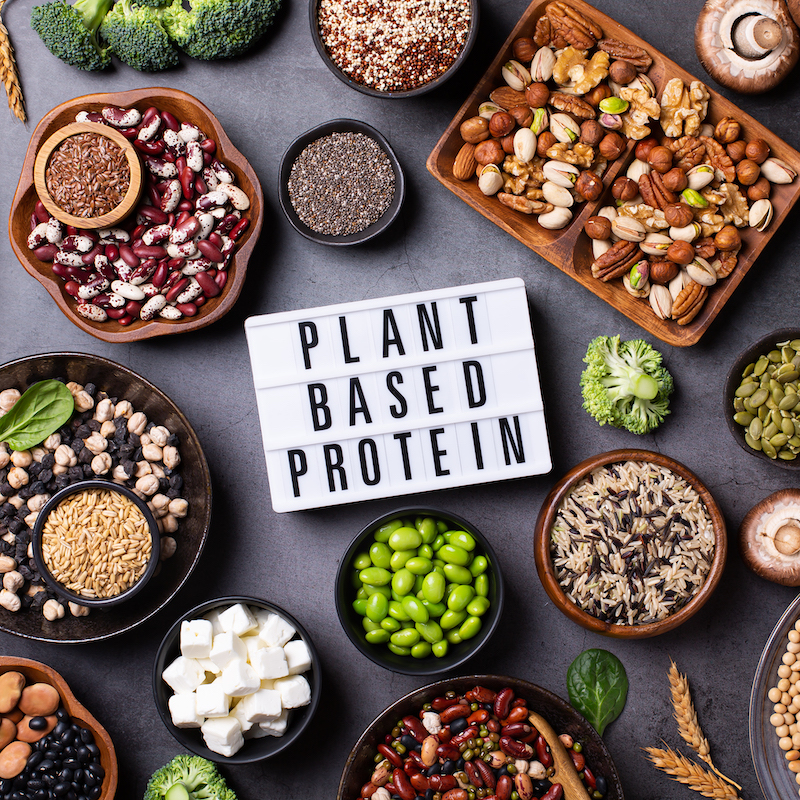 5 Vegan, ProteinRich Recipes For Everyone A Delicious Journey to