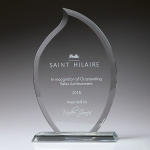 CT230: Torch Award Glass CT230: Torch Award Glass