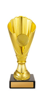 Norwood Cup Gold Norwood Cup Gold