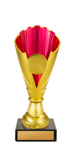 Norwood Cup Gold/Pink Norwood Cup Gold/Pink