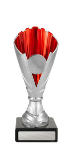 Norwood Cup Silver/Red Norwood Cup Silver/Red