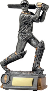 Cricket Batsman Cricket Batsman