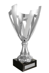 Nest Cup Silver Nest Cup Silver