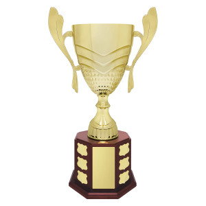 PERP46: Ensign Cup 540mm