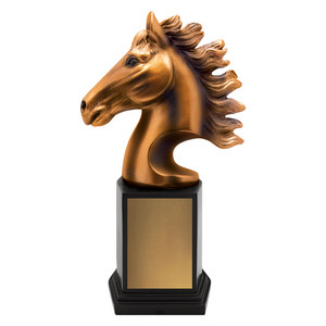 A3500: Horse Zenith Award A3500: Horse Zenith Award
