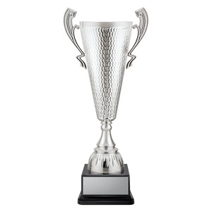 CUP291: Sentinel Cup