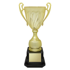 ASC01 : Cruiser Cup - Gold