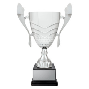 CUP272 : Avalon Silver Cup