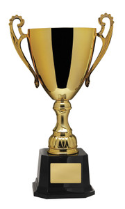 883G-P : Napa Cup - Gold