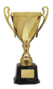 884G-P : Sonoma Cup - Gold