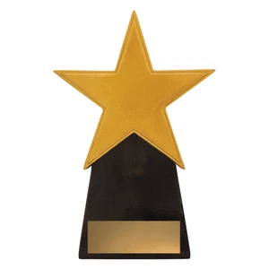 A369 : Gold Star