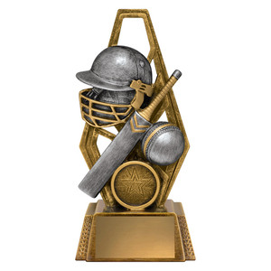 11254 : Cyber Cricket