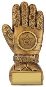 Premier Glove Football