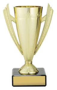 Budget Gold Cup Budget Gold Cup