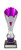 Norwood Cup Silver/Purple
