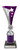 Epic Cup Silver/Purple