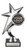 D91 : Star Award
